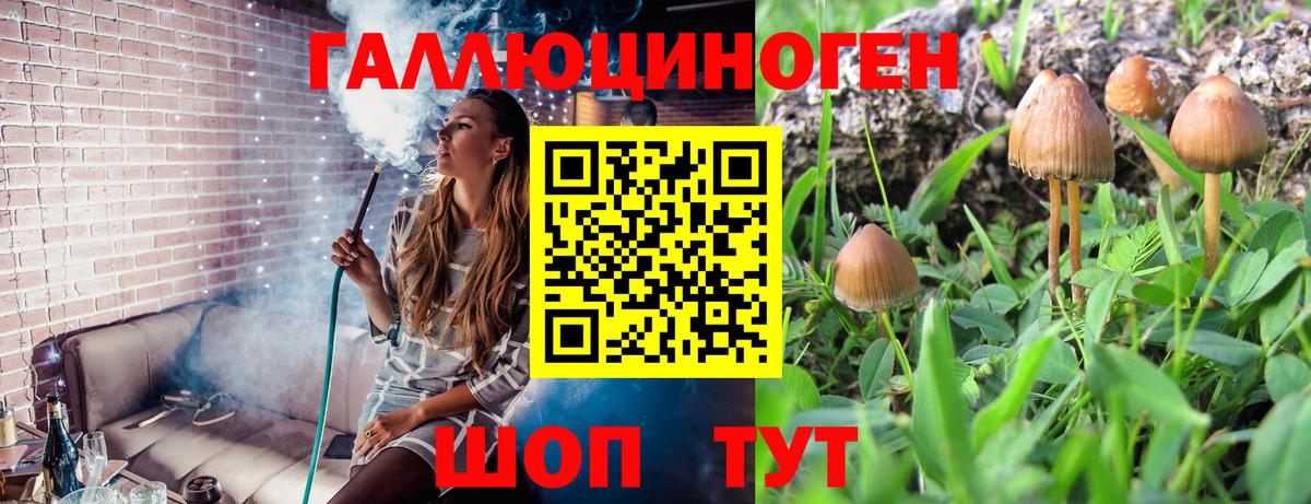 Гашиш  Вход с VPN  APVP СК   Мефедрон кристаллы  Новошахтинск  ГАШИШ 