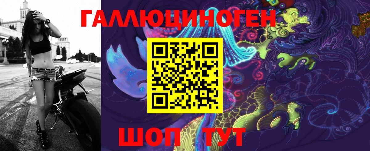 Галлюциногенные грибы GOLDEN TEACHER Новошахтинск
