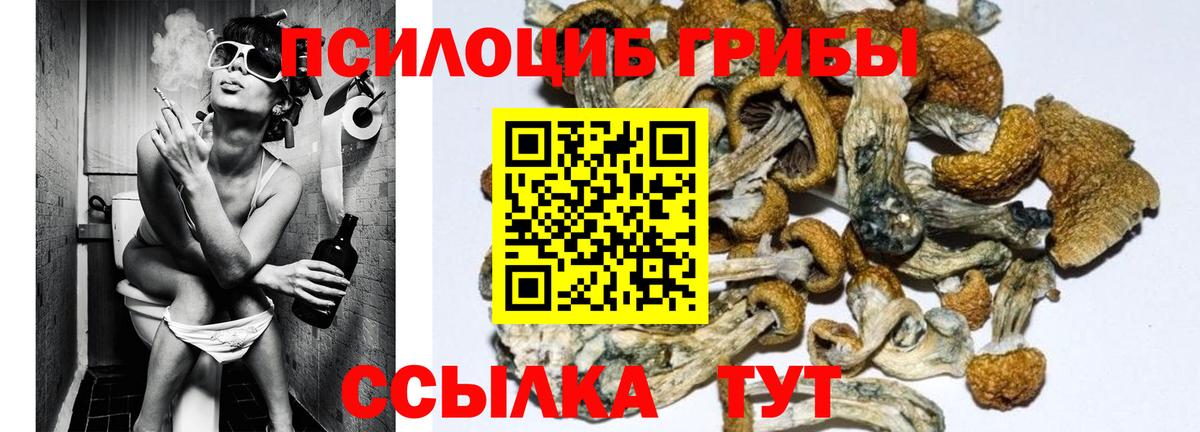Новошахтинск  Псилоцибиновые грибы Cubensis  Галлюциногенные грибы ЛСД  Вход с VPN 